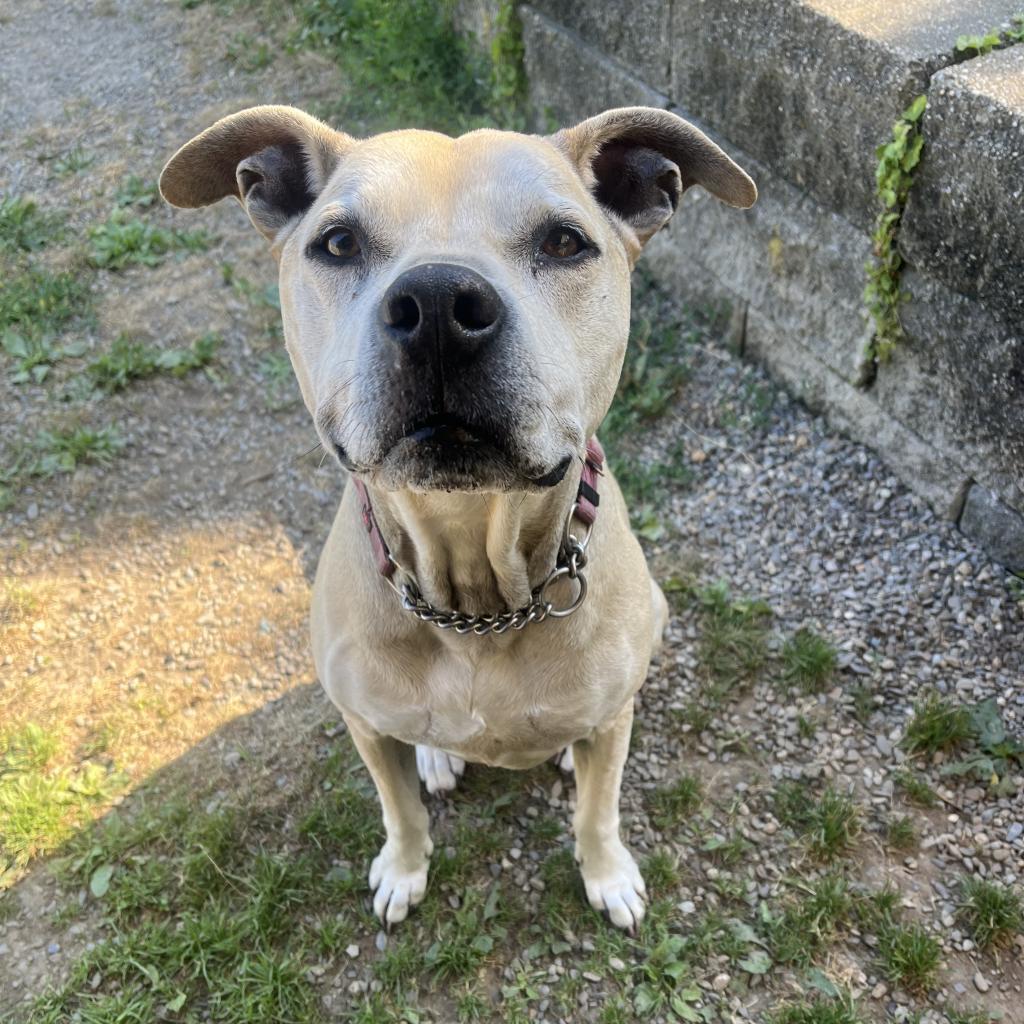 Athena