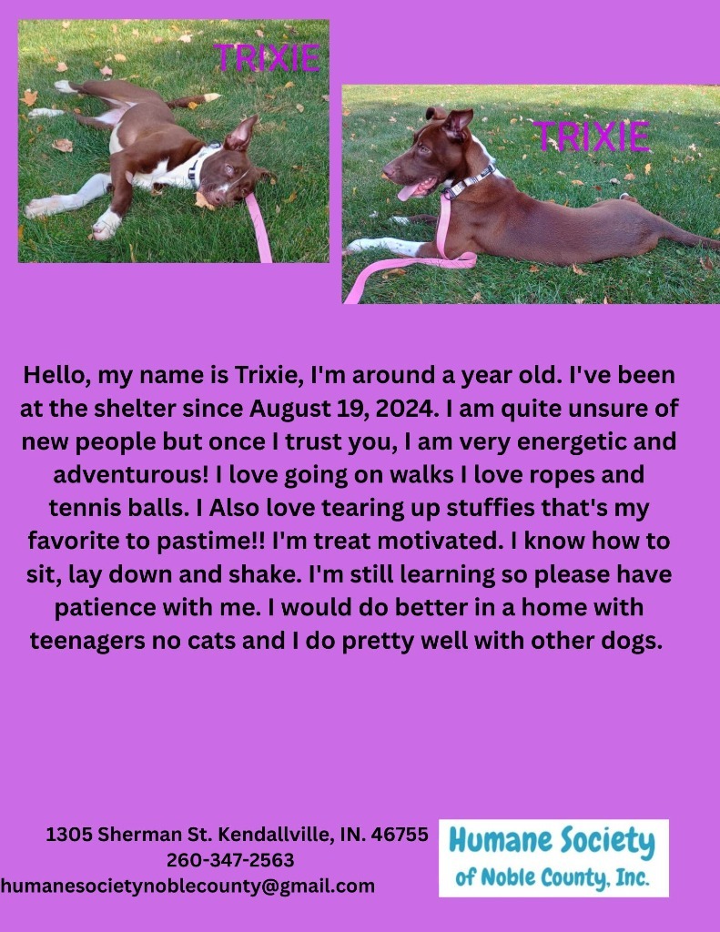 Trixie