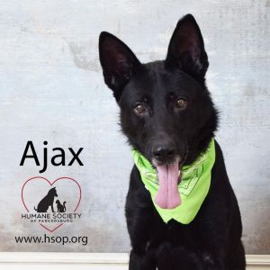 Ajax