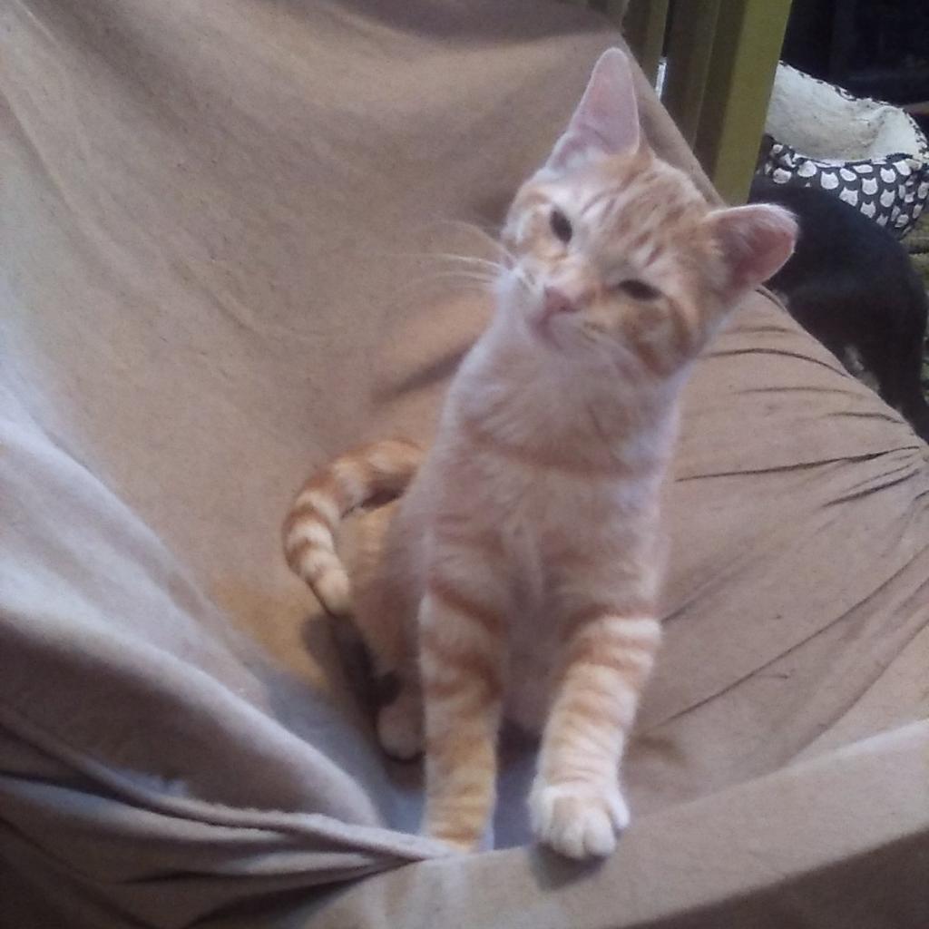 Chester