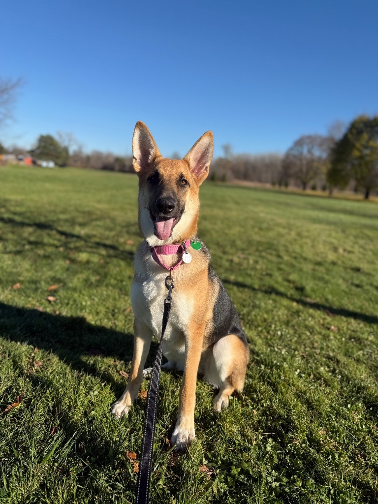 Freida