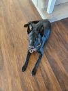 Luna - located in NE
