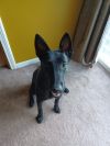 Luna - located in NE
