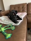 Luna - located in NE
