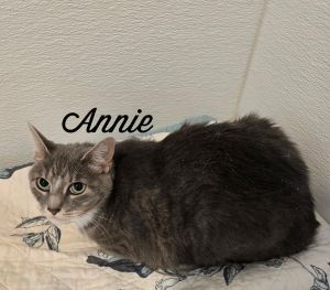 Annie