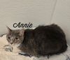 Annie photo 2