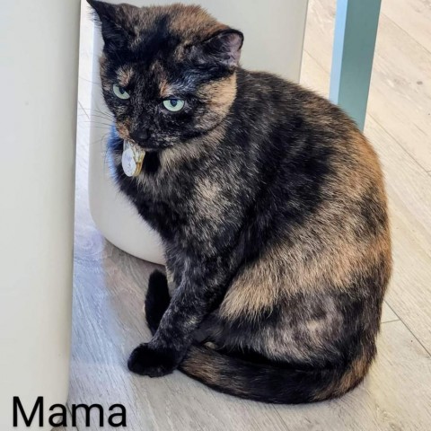 Mama 1