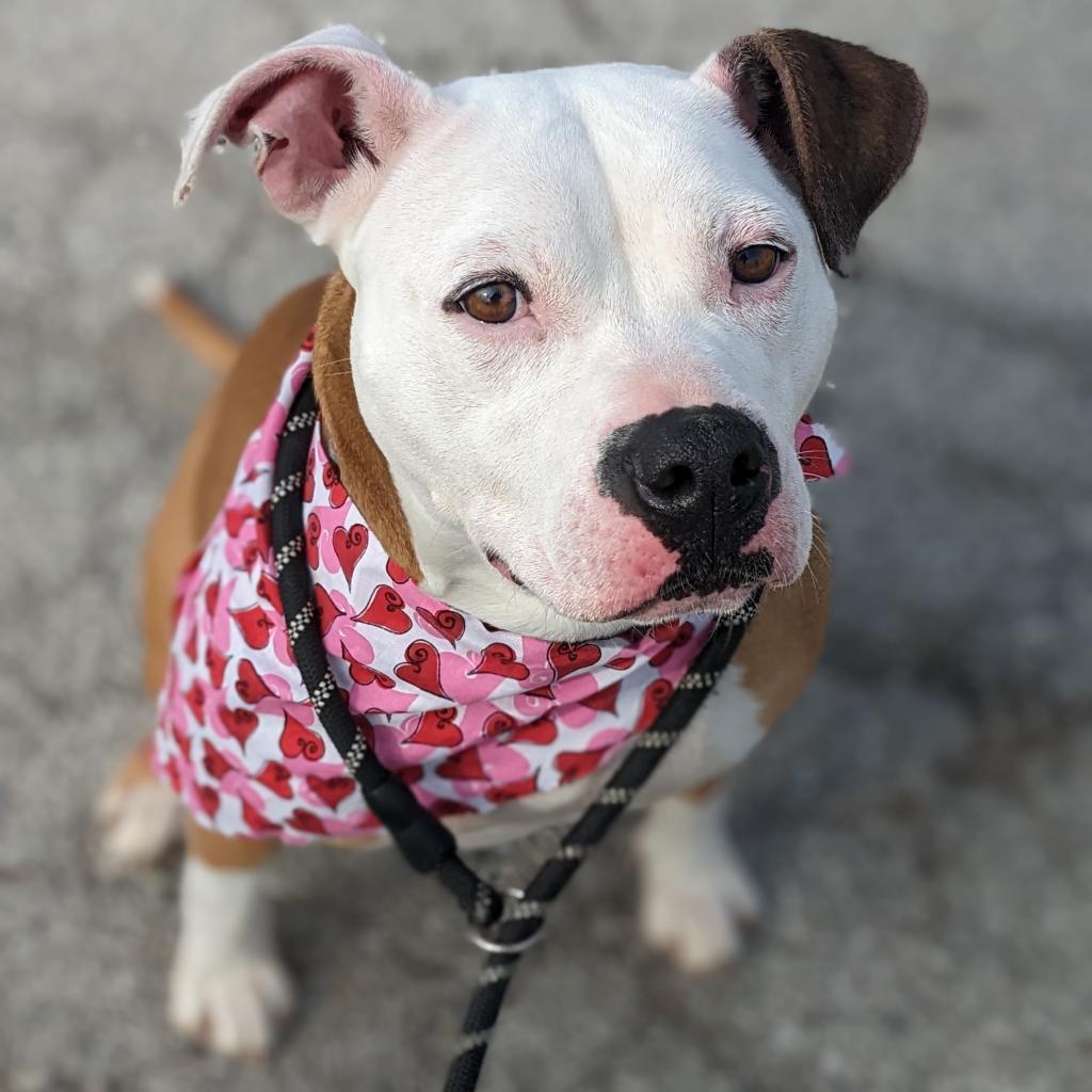 Milly Mae