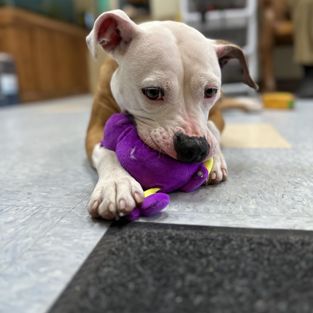Milly Mae