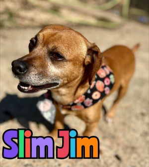 Photo of SLIM JIM