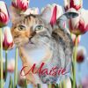 Maisie photo 2