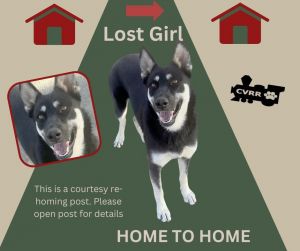 Lost Girl (Home to Home)