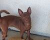 Scooby photo 2