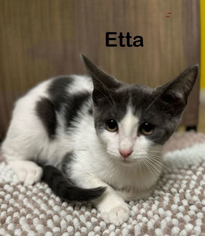 Etta