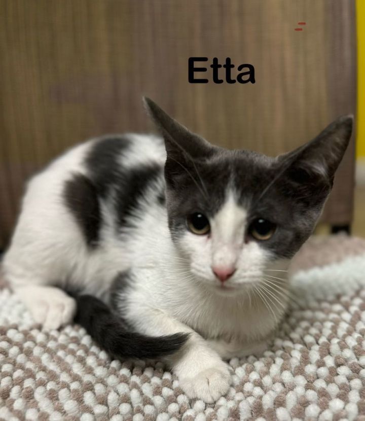 Etta 1