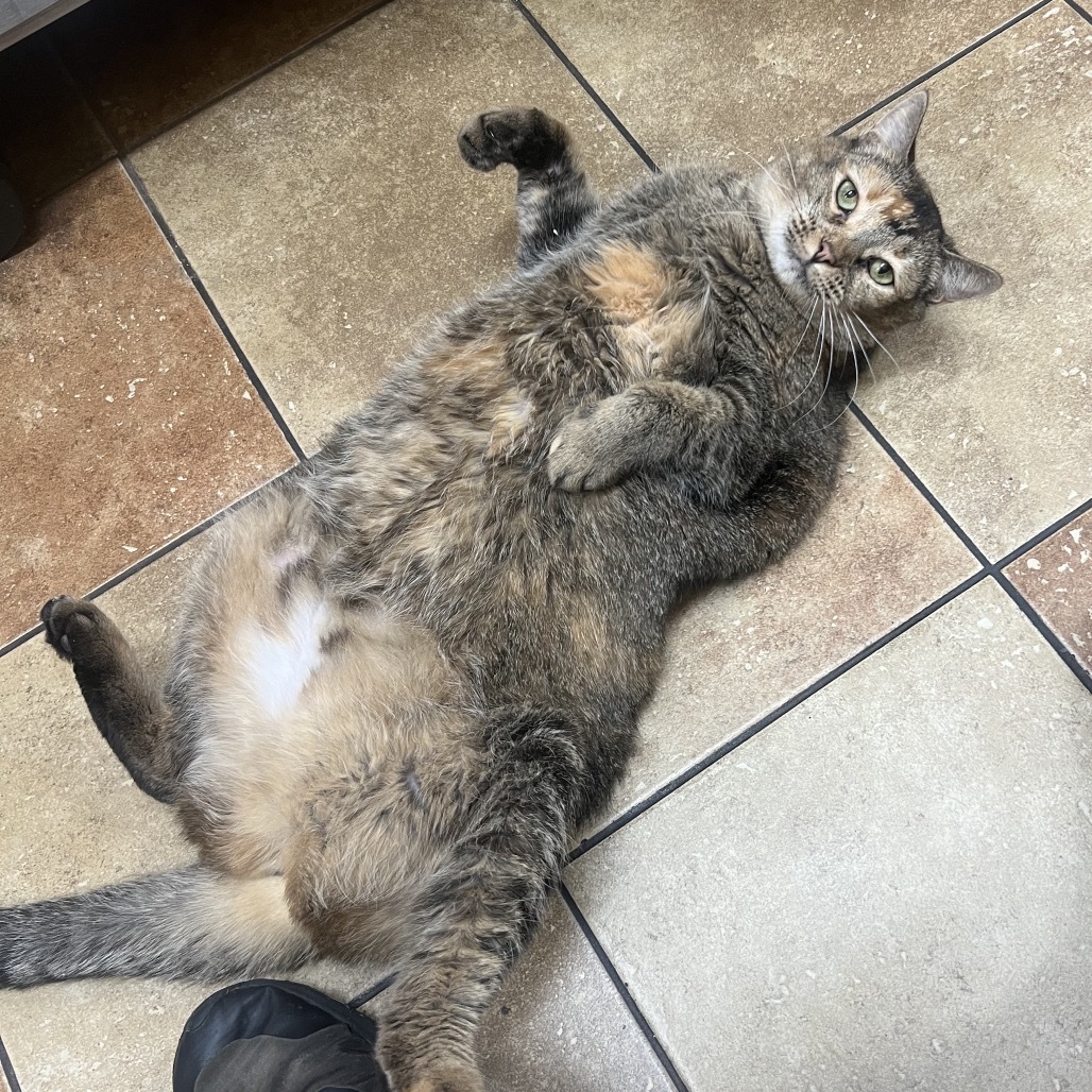 Simone