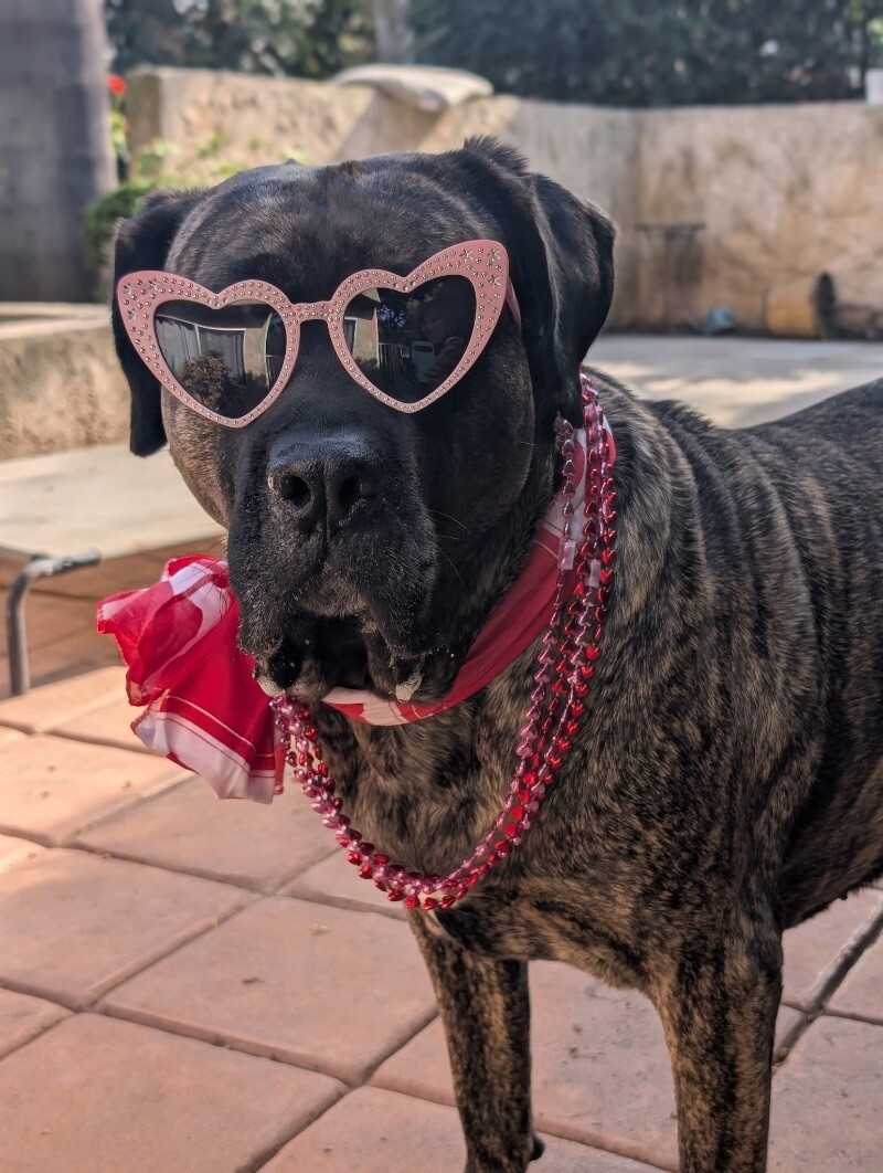 Valentine