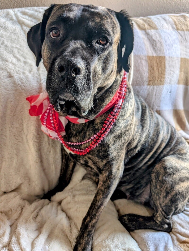Valentine