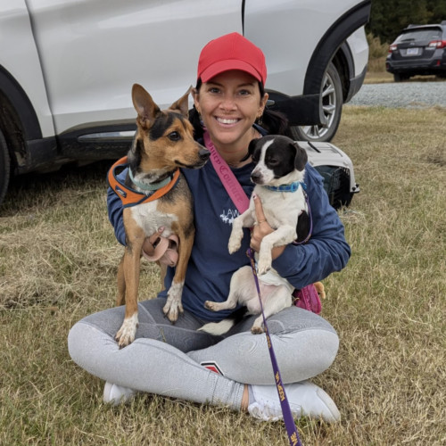 Scout, an adoptable Feist, Mixed Breed in Chapel Hill, NC, 27517 | Photo Image 3