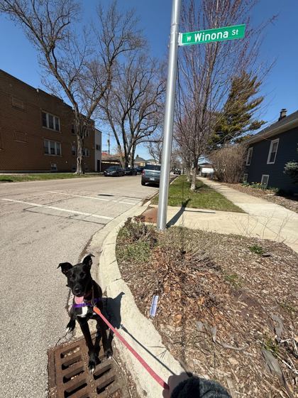 Winona