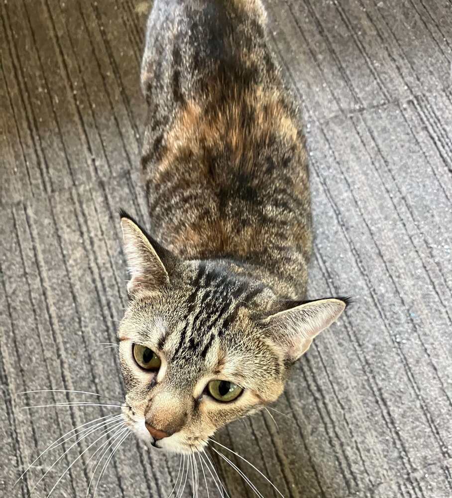 Rosie S.