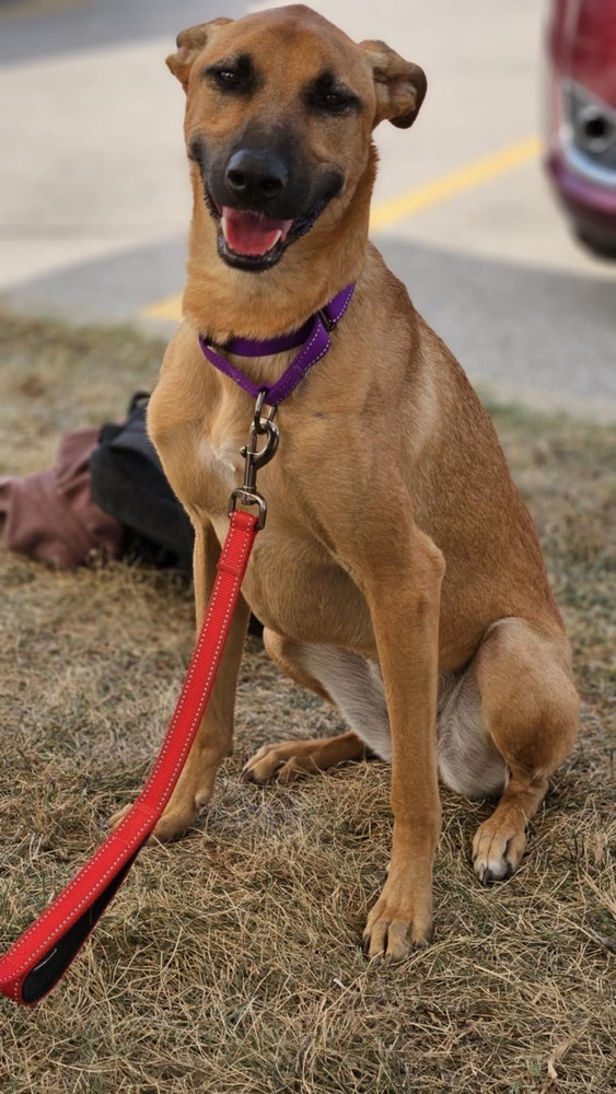 Nala