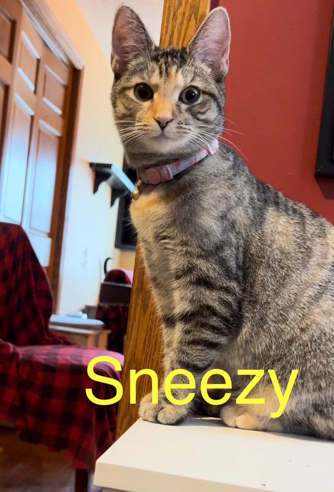 Sneezy B.