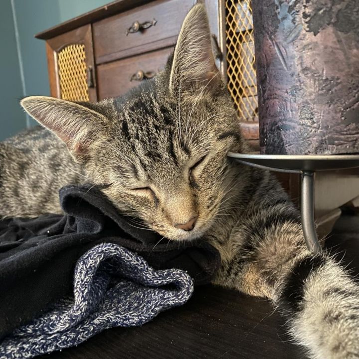 Kleenex 3