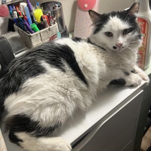 Smudge