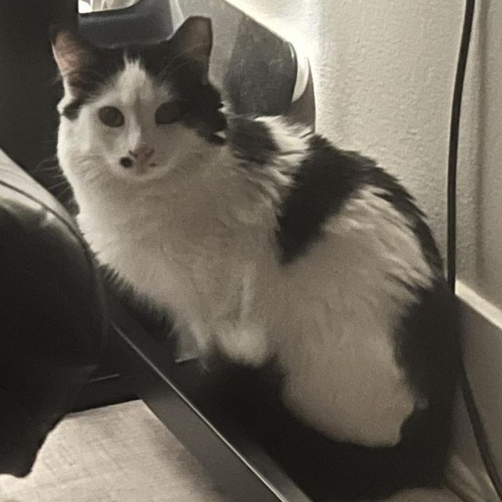 Smudge 3