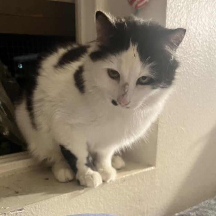 Smudge 5