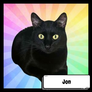 John Stewart