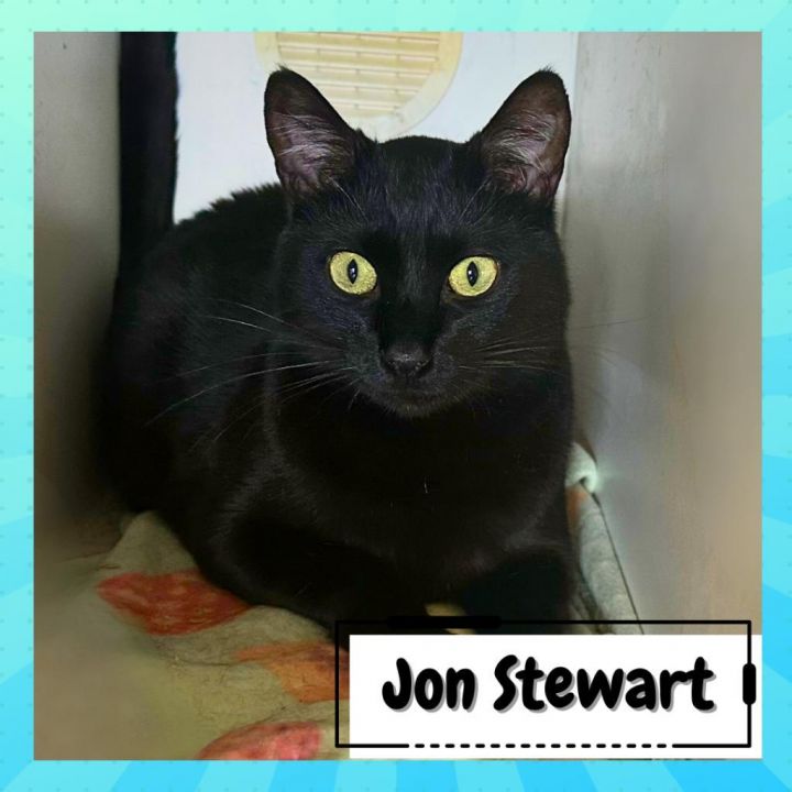 John Stewart 2