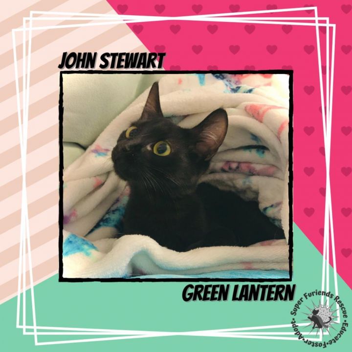 John Stewart 3