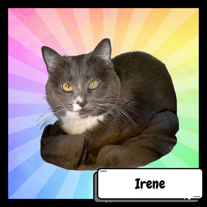 Irene Adler-Destiny 1
