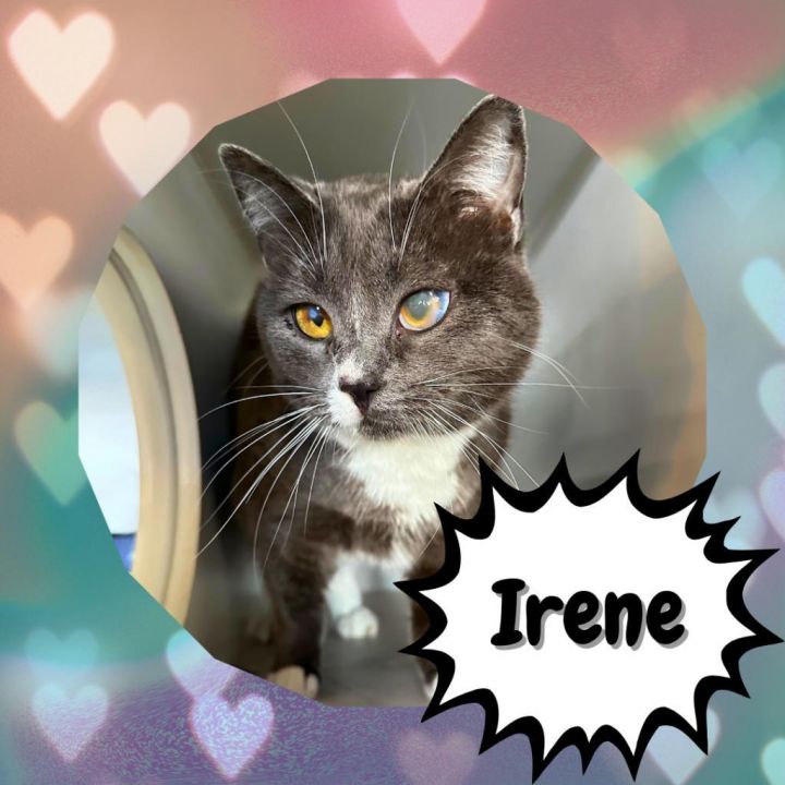 Irene Adler-Destiny 3