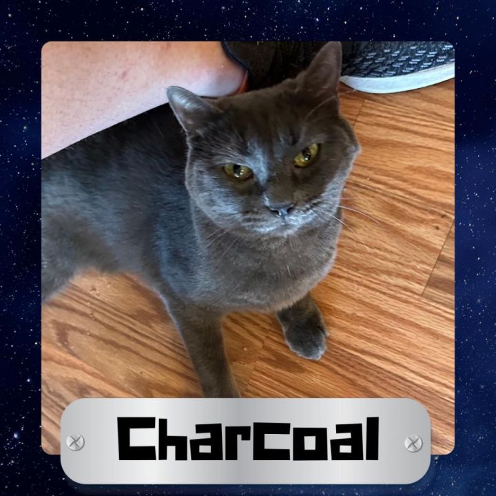 Charcoal 2