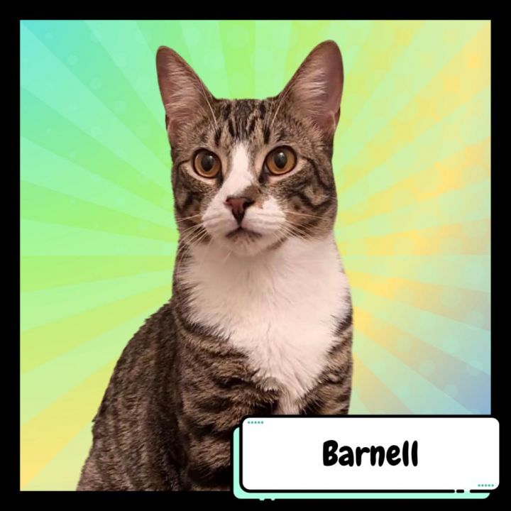 Barney & Angel 2