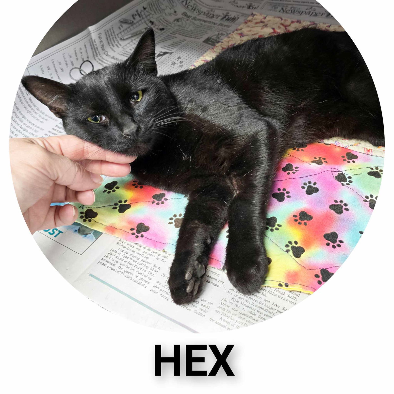 Hex