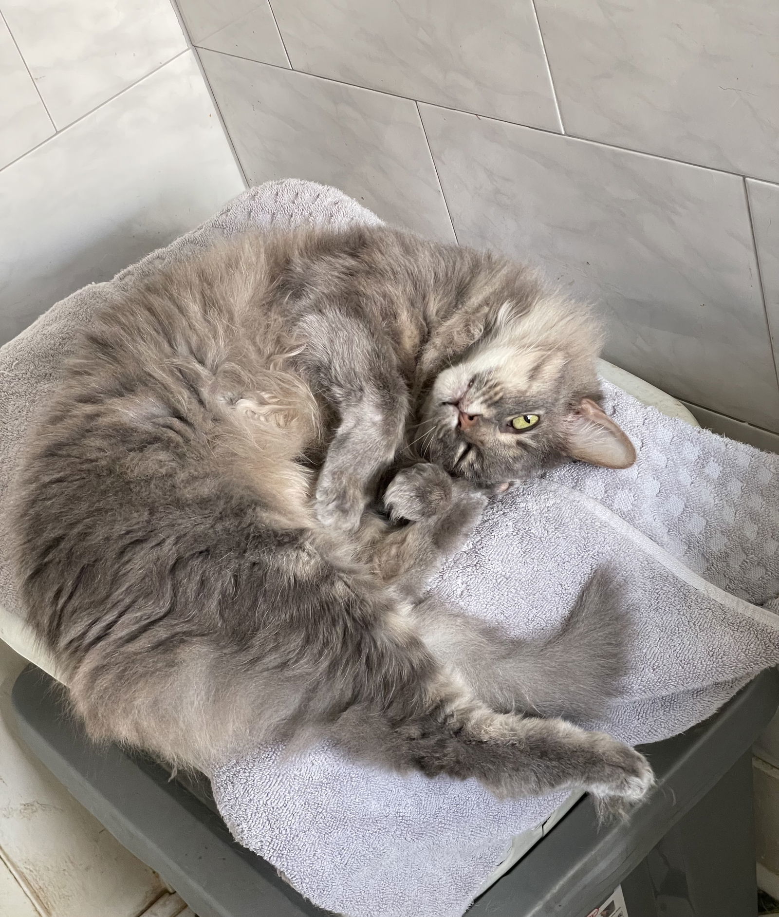 Precious