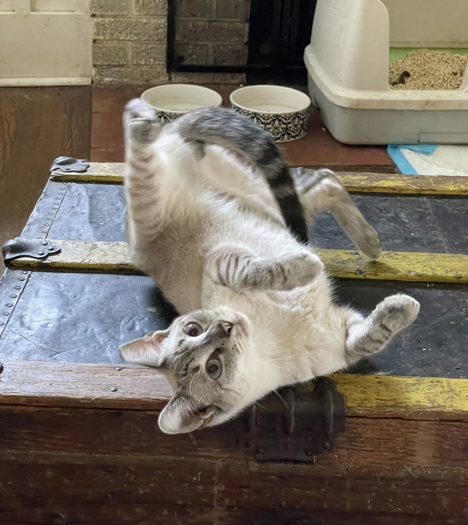 Slinky