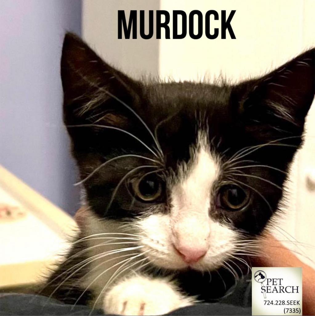 Murdock