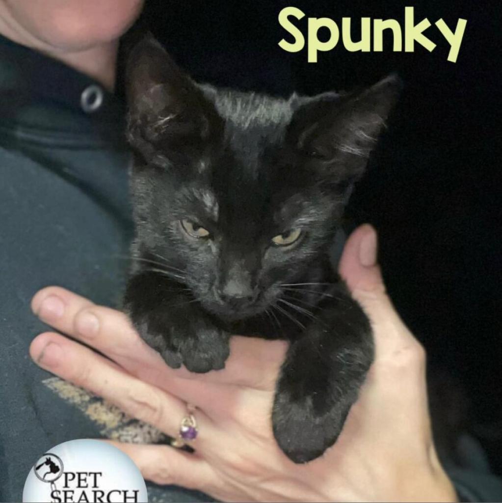 Spunky