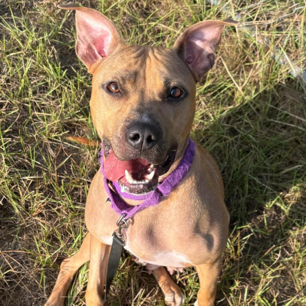 Molly