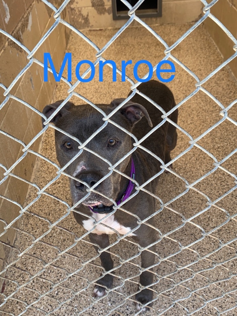 Monroe