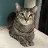 Wilma photo 3