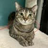Wilma photo 6