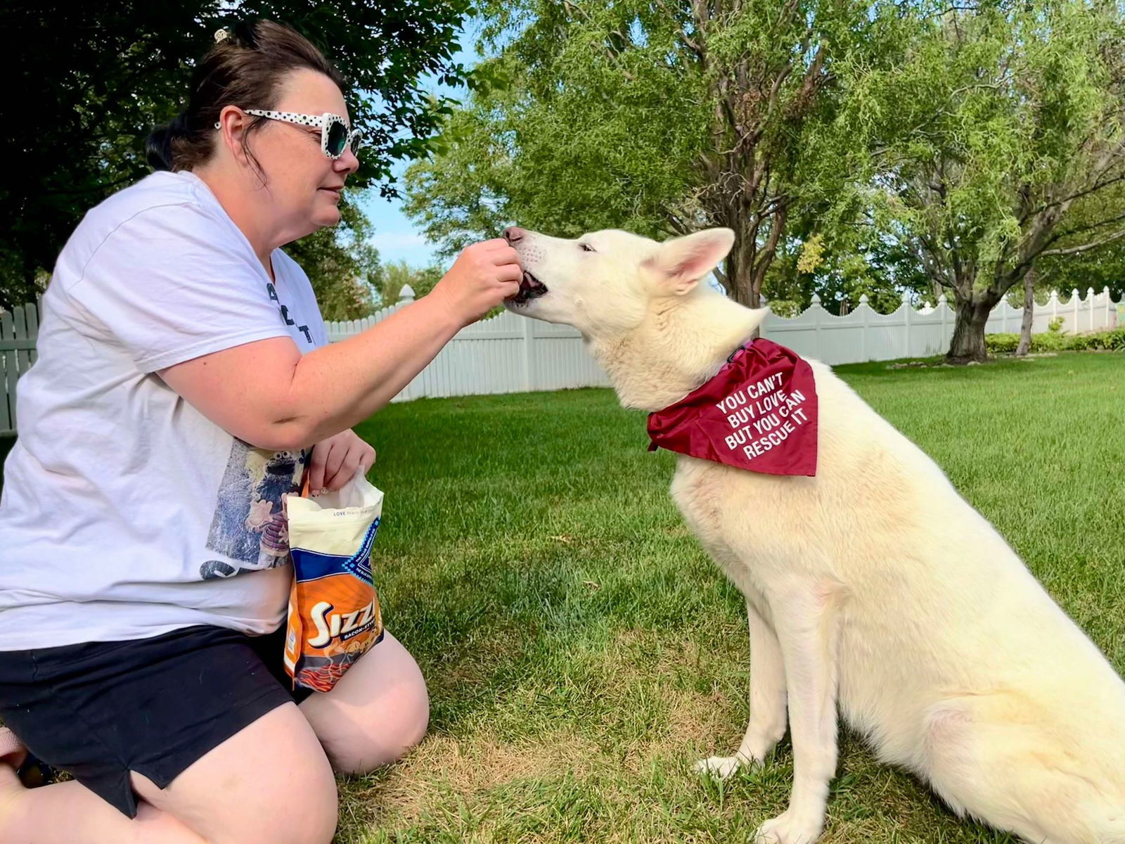 Bianca *PENDING*. Nka Calla, an adoptable White German Shepherd in Gretna, NE, 68028 | Photo Image 2