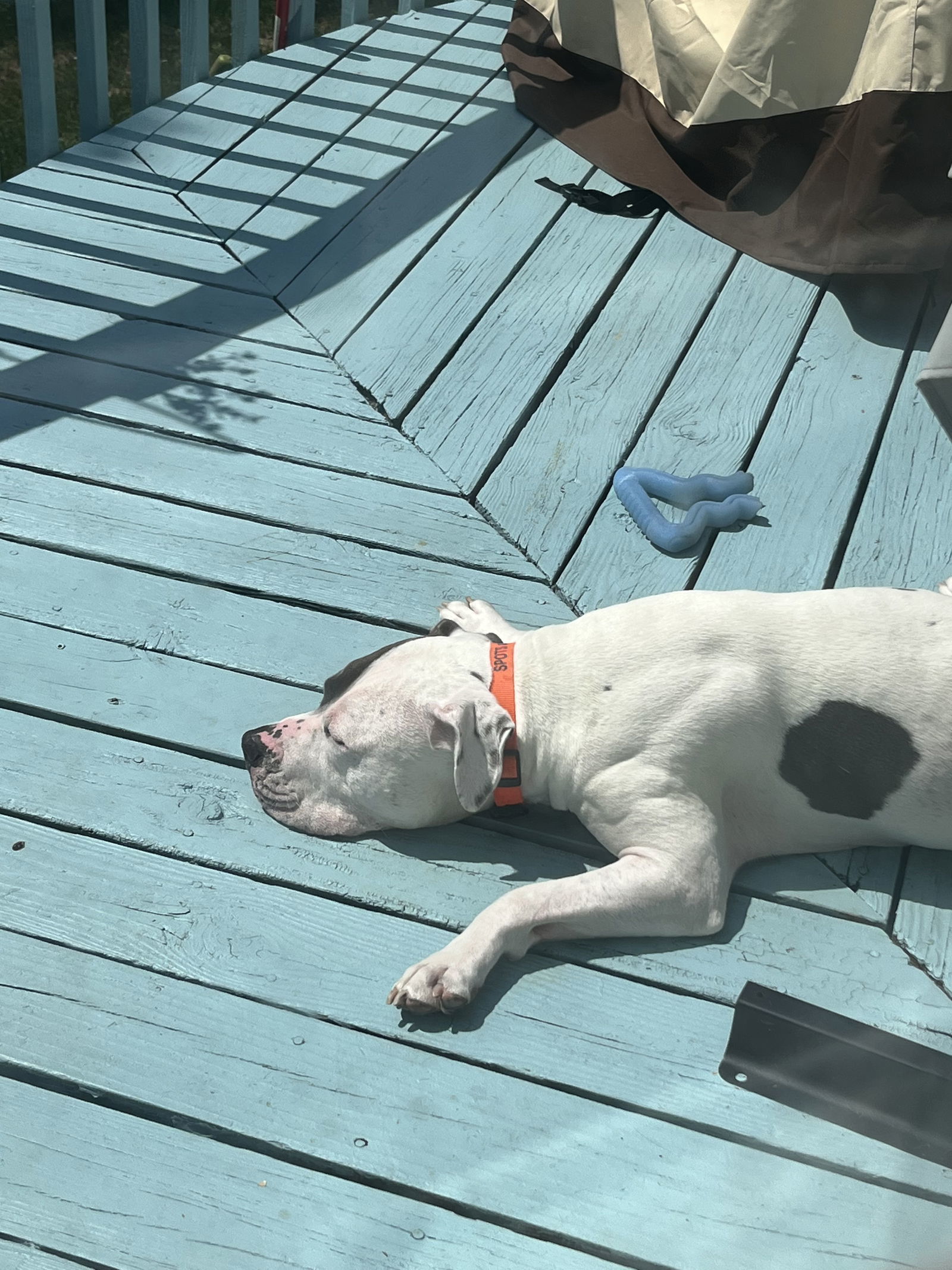 Spots