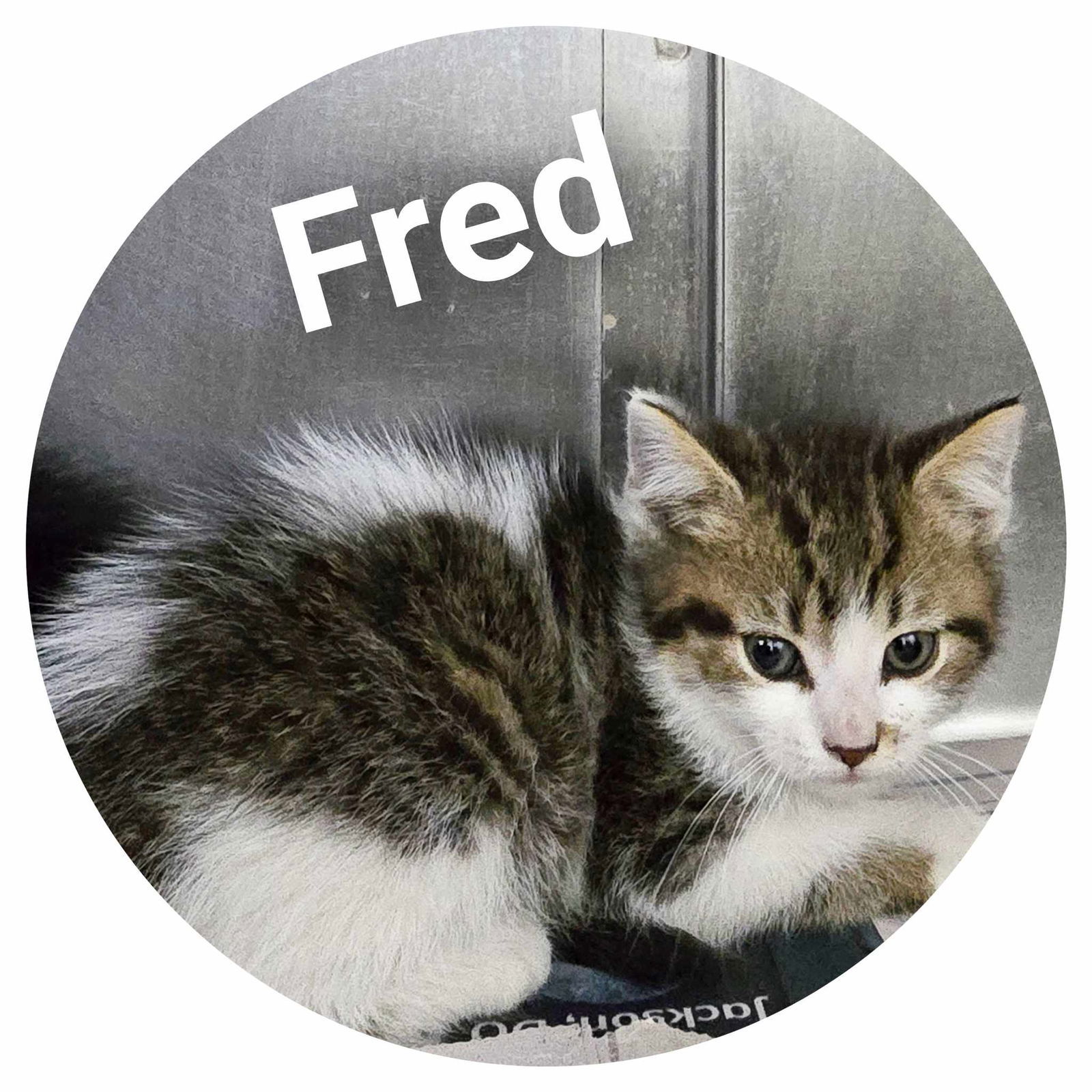 Fred